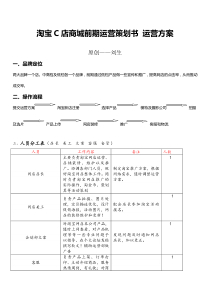 淘宝C店商城前期运营策划书