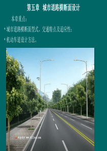 城市道路与交通第五章