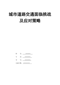 城市道路交通面对的挑战及应对政策