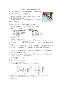 混合气体的推断专题