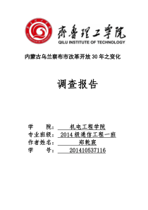 杨洋内蒙古包头市改革开放30年