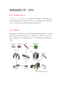 MIM金属注射成型工艺