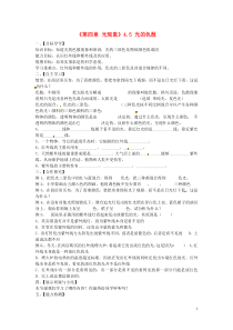 湖北省大冶市还地桥镇南湾初级中学八年级物理上册《第四章光现象》45光的色散导学案