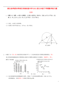 湖北省孝感市孝南区肖港初级中学2013届九年级数学下学期练习题(15)