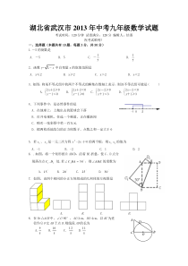 湖北省武汉市2013年中考九年级数学逼真模拟试题