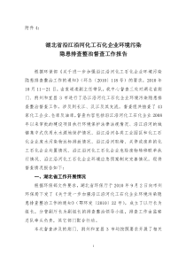 湖北省沿江沿河化工石化企业环境污染隐患排查整治督查工作报告