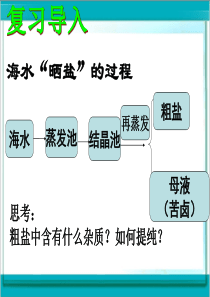 鲁教版九年级下册化学粗盐提纯