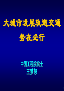 大城市发展轨道交通势在必行