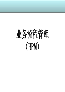 业务流程管理(BPM)(通用简明教材)（PDF55页）