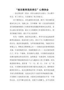 桂东教育我的责任心得体会