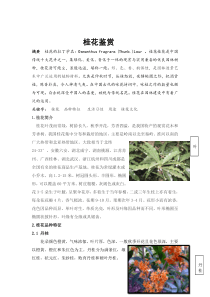 桂花鉴赏论文