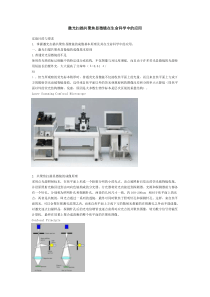 激光共聚焦显微镜在生命科学中的应用