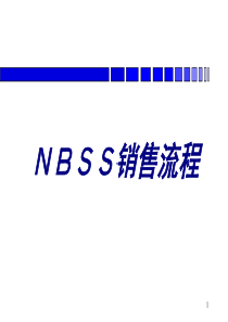 保险NBSS销售流程