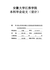 灵芝粗多糖对小鼠胚胎成纤维细胞的抗氧化生物活性研究