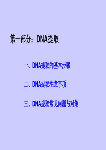 DNA提取和pcr扩增