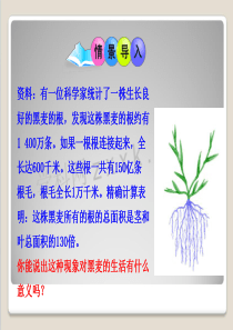 植株的生长1.