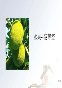 水果知识-菠萝蜜