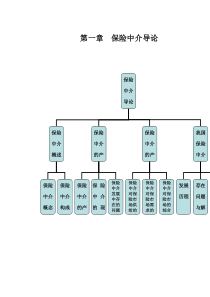 保险中介第一章完整版
