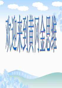 数线段公开课PPT课件-53F32