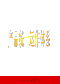 保险产品统一运作体系（PPT 65页）