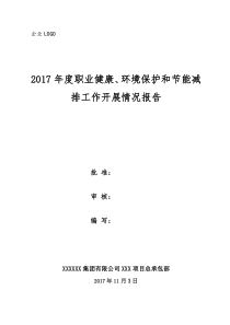 2017年项目部三项业务工作总结