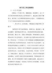 实习生工作总结报告