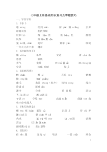 七年级上册基础知识复习及答题技巧