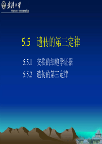 武汉大学遗传学第5章遗传的第三定律