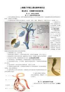 人教版八年级上册生物学知识点