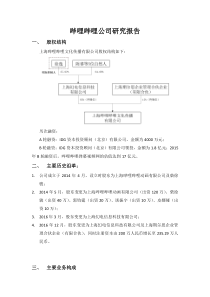 哔哩哔哩弹幕网模式研究报告