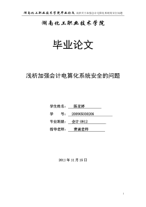 浅析关于加强会计电算化系统的安全问题初稿