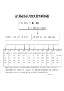 昌江黎族自治县人民医院质量管理组织结构图