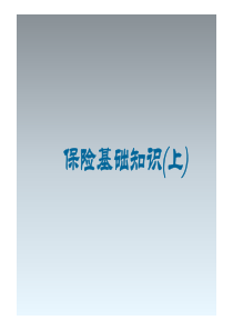 保险基础知识与概念（PDF133页）