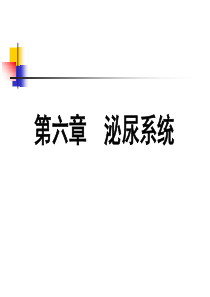 泌尿系统影像学