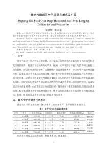 普光气田超深水平井录井难点及对策