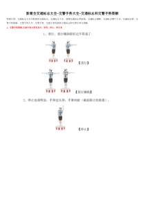 最新_最全_交通标志与交警手势_仪表板图标大全（DOC33页）