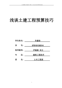 浅谈土建工程预算技巧