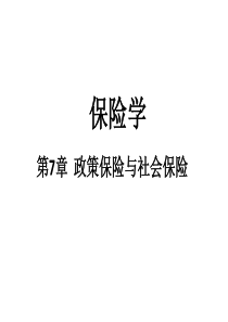 保险学第7章政策保险与社会保险