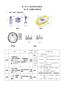 济南版七年级上册生物第二单元丰富多彩的生物世界第三章生物圈中的微生物第四章生物的分类复习知识点