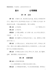 有限责任公司章程(不设董事会监事会,只设执行董事监事)