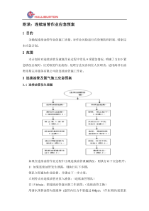 海上连续油管作业应急预案