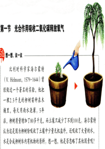 第一节--光合作用吸收二氧化碳释放氧气(共42张PPT)