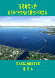 F-青岛海湾大桥建设条件及结构耐久性技术保障措施