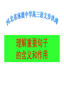 江苏省南通市实验中学九年级语文中考复习理解重要句子的含义和作用