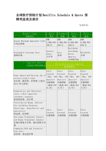 全球医疗保险计划Benifits Schedule Quote 保障利益表及报价