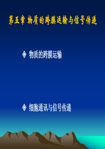 物质的跨膜运输与信号传递