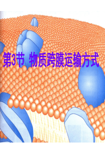 生物：43《物质跨膜运输的方式》课件(3)(新人教版必修1)