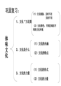 文化与经济政治政治必修三第一课第二框课件