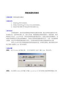 网络连通性测试