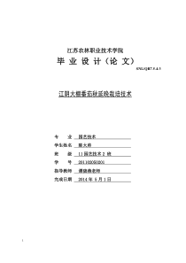 江阴大棚番茄秋延晚栽培技术